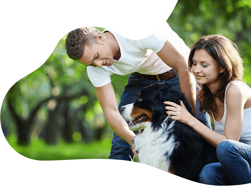 https://lpl.techprocanfixit.com/wp-content/uploads/2019/07/hero_image_10.png
