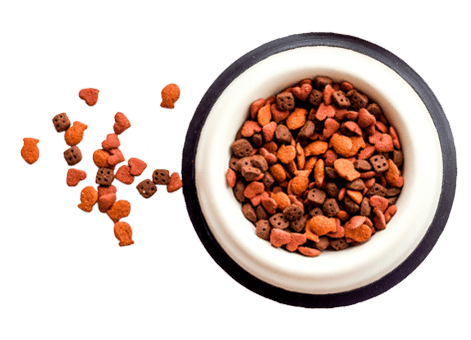 https://lpl.techprocanfixit.com/wp-content/uploads/2019/08/floating_food.png