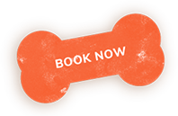 https://lpl.techprocanfixit.com/wp-content/uploads/2023/08/book_now_shadow_smaller.png
